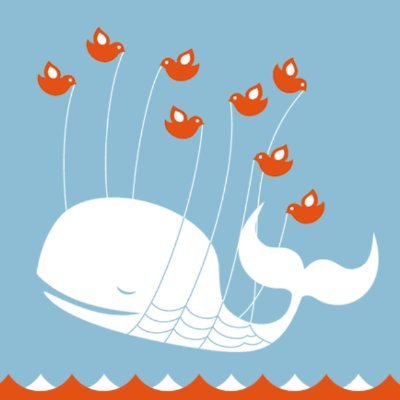 shun_bf's profile picture. （ X は使っていません）