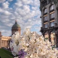 فــاطـمـة💜✨ (@7a_580) 's Twitter Profile Photo