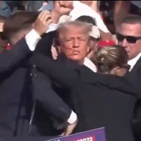 Georgio Testa 🇺🇸 (@georgiotesta) 's Twitter Profile