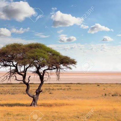 HPB_tachiBackSB's profile picture. アラフォー身長180cmのエロ垢 ハプバー歴10年 青姦やスワッピング、混浴温泉などエロへの探究心が止まらない、実はエロマッサージ屋さんで働いてます