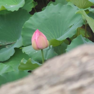 press2025's profile picture. 