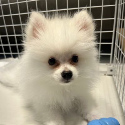 今の自分を変えたくて日々勉強中。
/web制作/勉強の中で感じた事などを発信します!!/将来的にはゲーム関連のプログラムも触ってみたい//やらぬ後悔よりやる後悔。駆け出しエンジニアの人達仲良くして下さい。