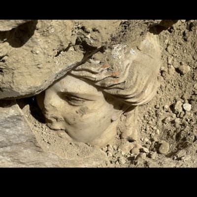 f_weilbrenner's profile picture. yes