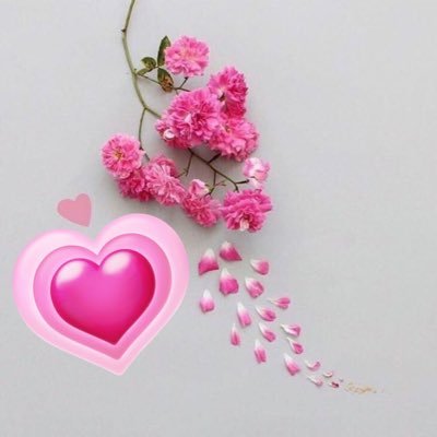 latifatv2020's profile picture. سبحان الله وبحمده سبحان الله العظيم 🌷🌷 🌷 ربِ اغفر لي ولوالدي 🌷🌷 ❌الخاص❌ 💕قُل أعوذ برب الفلق من شر ما خلق 💕