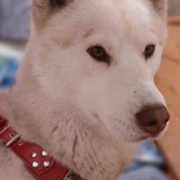 Jon (@mental_unlock) 's Twitter Profile