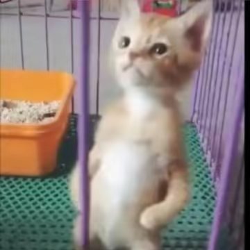 MkuoISCxYs3147's profile picture. 