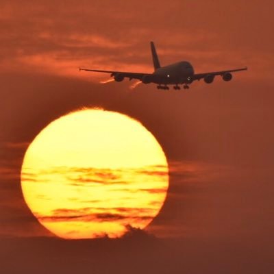 Willow_n0610's profile picture. 香川県那覇市右京区中村西2丁目住み