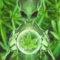 ALIEN NUGGET (@stdn_cl) 's Twitter Profile