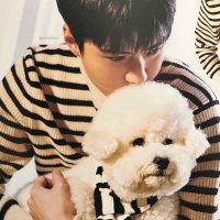 ( ・̀٥・́)✧ (@whysosehun) 's Twitter Profile
