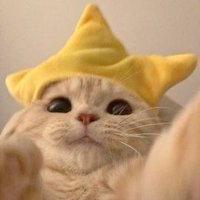 catadorchilaquil (@brus3_) 's Twitter Profile Photo catadorchilaquil (@brus3_) 's Twitter Profile Photo