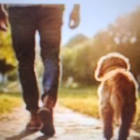 Clint&Sadie (@clintandsadie98) 's Twitter Profile