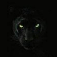 fitro endless (@endlessfitro) 's Twitter Profile