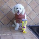 Lydia Ledesma - @ledesma_ly45375 - Twitter