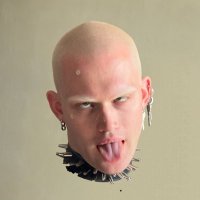 kiryusha 🪿 (@lilbee_666) 's Twitter Profile