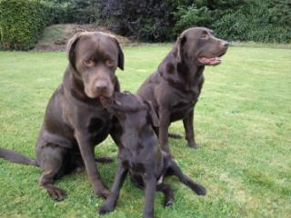 peadarmacgabhan's profile picture. 