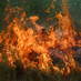 NC Fire Council (@ncfirecouncil) Twitter profile photo