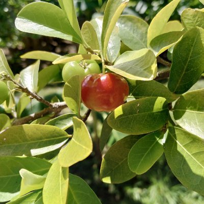 jesusrebeitte's profile picture. 