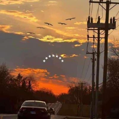 seronoser1808's profile picture. 