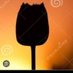 Tulipán del Ocaso 💘 (@tulipandelocaso) Twitter profile photo Tulipán del Ocaso 💘 (@tulipandelocaso) Twitter profile photo