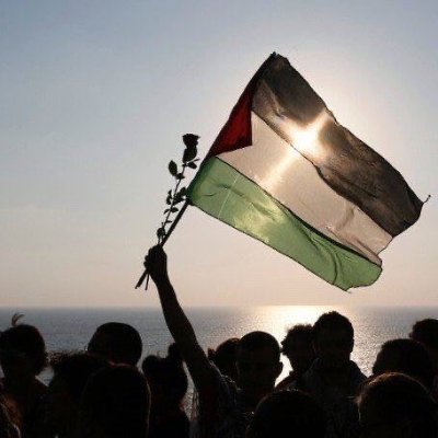 MEERSHAHBAZ7's profile picture. 