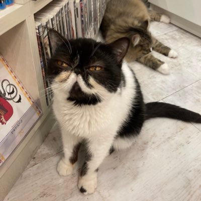 kuni_patapata's profile picture. 08/club