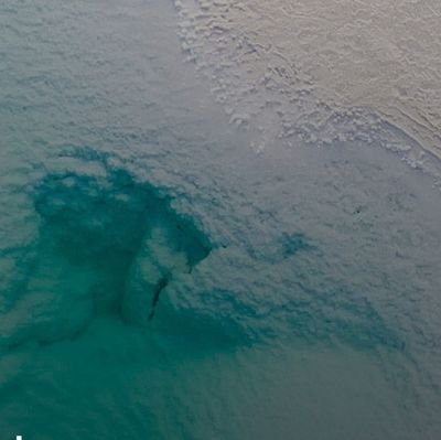 onana333's profile picture. Confused