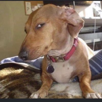 Freakshit240's profile picture. Big  boy on some Freaky shit 🤤💦