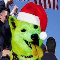 NEIRO NFT l SOLD OUT (@neironftsol) 's Twitter Profile Photo NEIRO NFT l SOLD OUT (@neironftsol) 's Twitter Profile Photo
