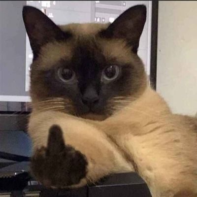 AlexTA04022779's profile picture. 