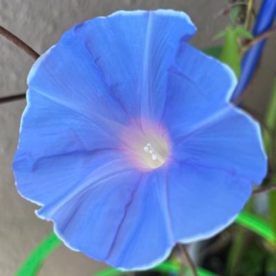 __axrxx's profile picture. 3児と猫2匹のお世話係。懸賞で当選するのが日々の楽しみ！ド初心者ですがよろしくお願いします🔰🎯