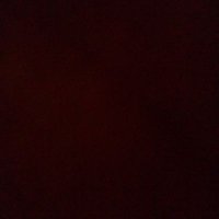 donkeykong95 (@zackcollin41803) 's Twitter Profile