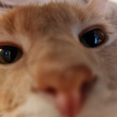 Heewooさんのプロフィール画像