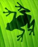 SBomstad's profile picture. Retired features editor at West Central Tribune in Willmar, Minnesota.