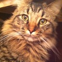 Amy Robey - @amyrobey1 - Twitter