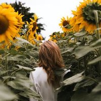 salsa (@torelarqqj) 's Twitter Profile
