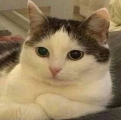 seeminglyswing's profile picture. 