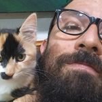 PedroHerrera_Bl's profile picture. 