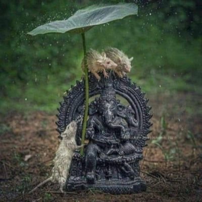 niranmys's profile picture. Cool & Smooth Going....