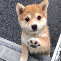 お得な割引速報 (@kyle2008f) 's Twitter Profile