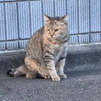 tarou (@taro2231) Twitter profile photo