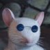 Mike (@mike03837071408) Twitter profile photo Mike (@mike03837071408) Twitter profile photo