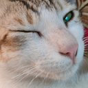 anwar azim - @anwar_azim50250 - Twitter