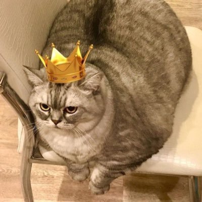 beaniewoos's profile picture. Gagraduate na BSA parin🤞🏻| CPA oct 2027 | CPA-lawyer in God’s perfect time 🙌🏻