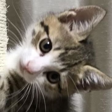 二遊間さんのプロフィール画像
