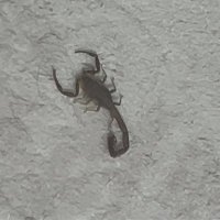 ronny mex (@okten1gunduz) Twitter profile photo