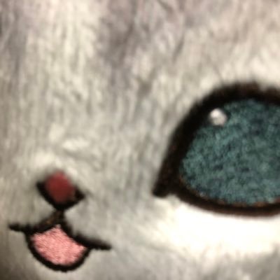 ひるねするのなよさんのプロフィール画像