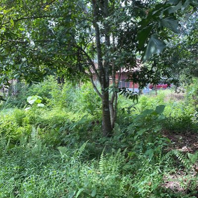 hunghung878785's profile picture. 