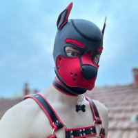 Puppy Nik (@puppy_nik) 's Twitter Profile Photo Puppy Nik (@puppy_nik) 's Twitter Profile Photo