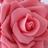 LadyPep99's profile image