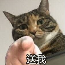 bjc25524024's profile picture. 冲冲冲